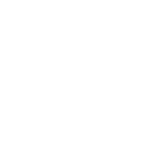 MadX Logo